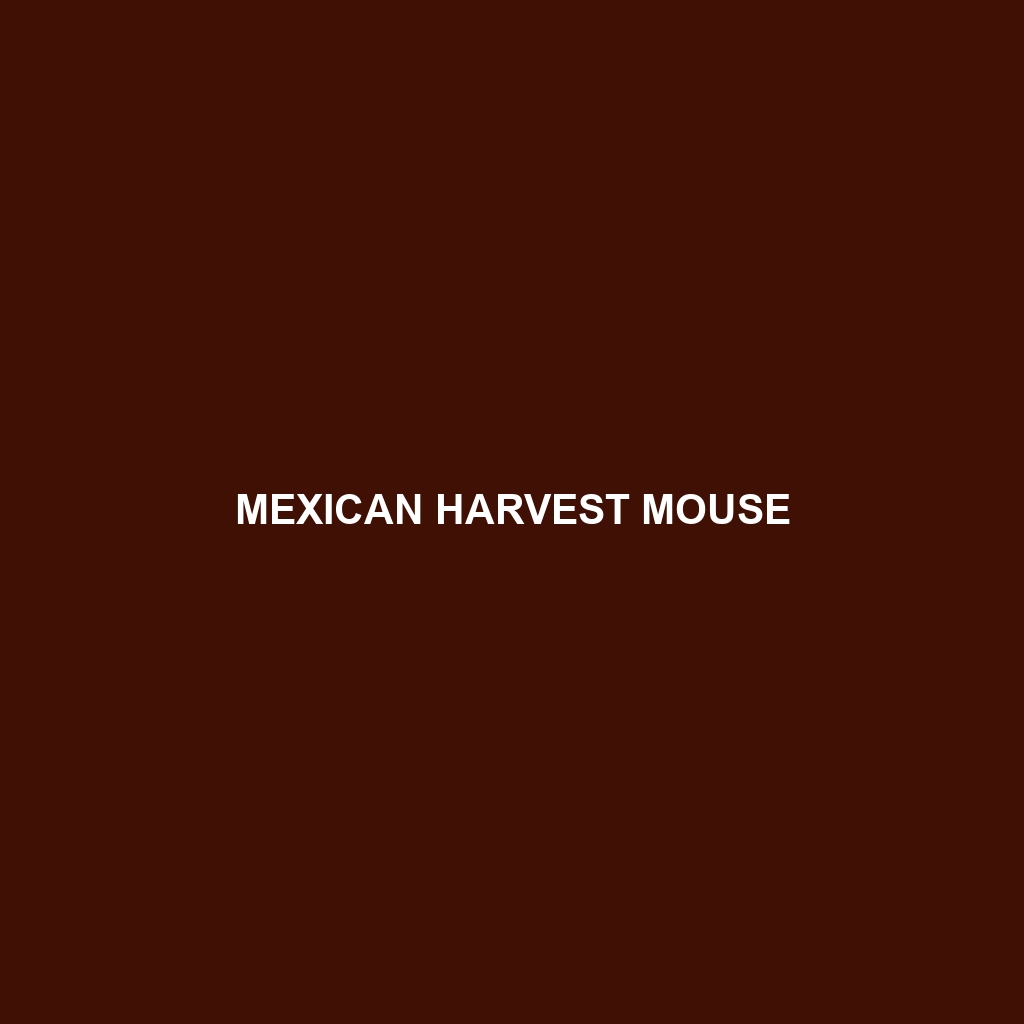 Mexican Harvest Mouse