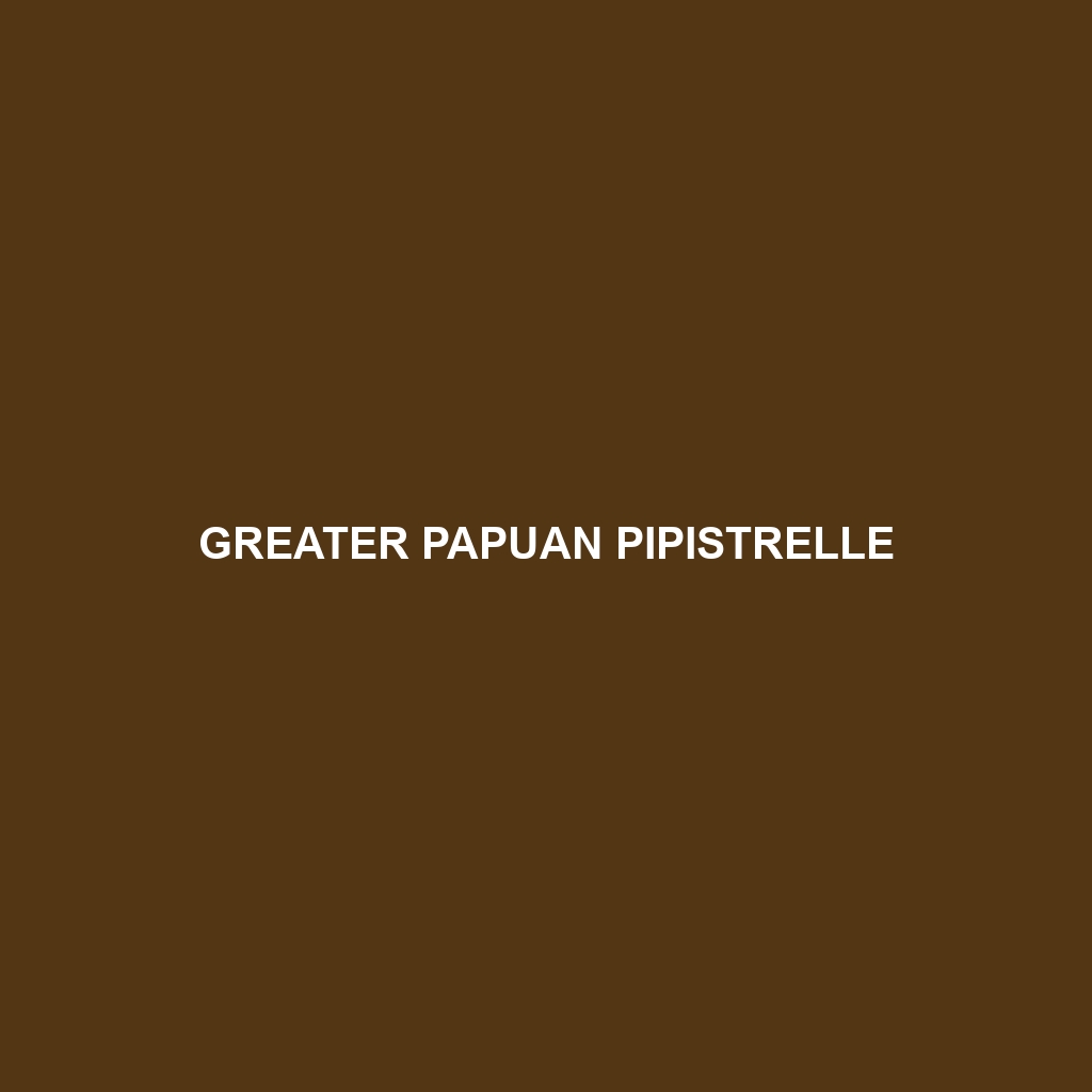 Greater Papuan Pipistrelle