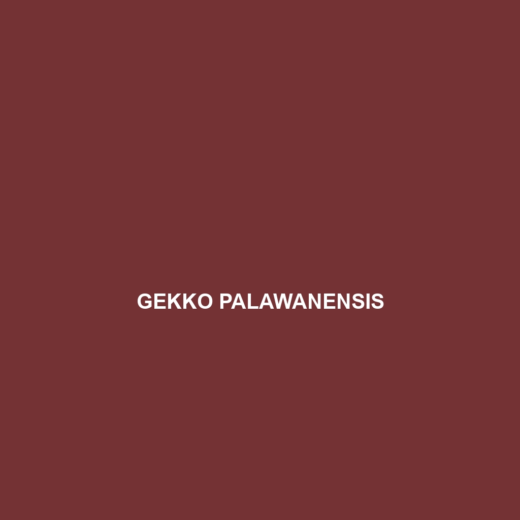 Gekko palawanensis