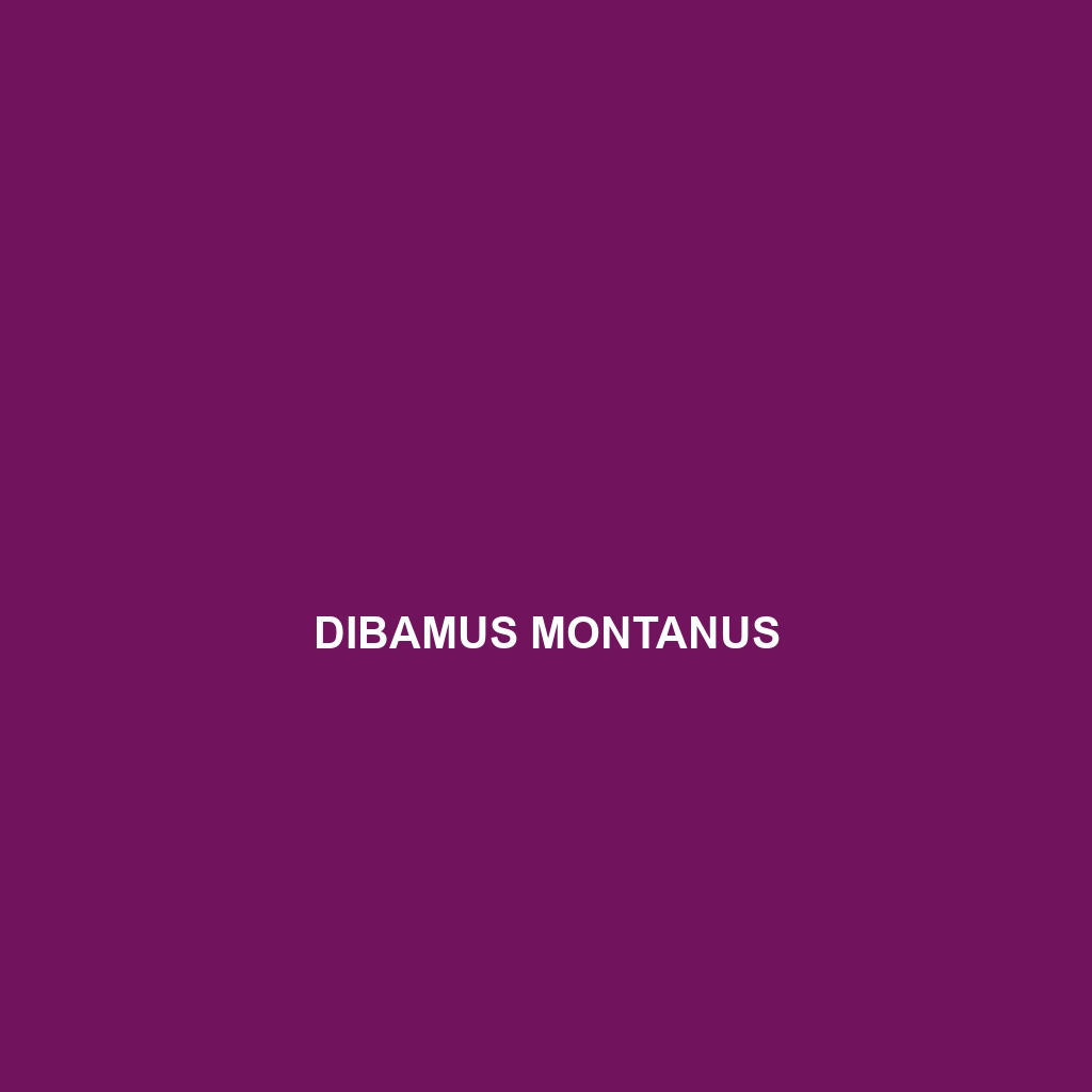 Dibamus montanus