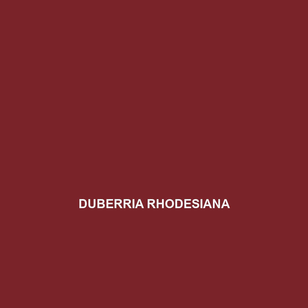 Duberria rhodesiana