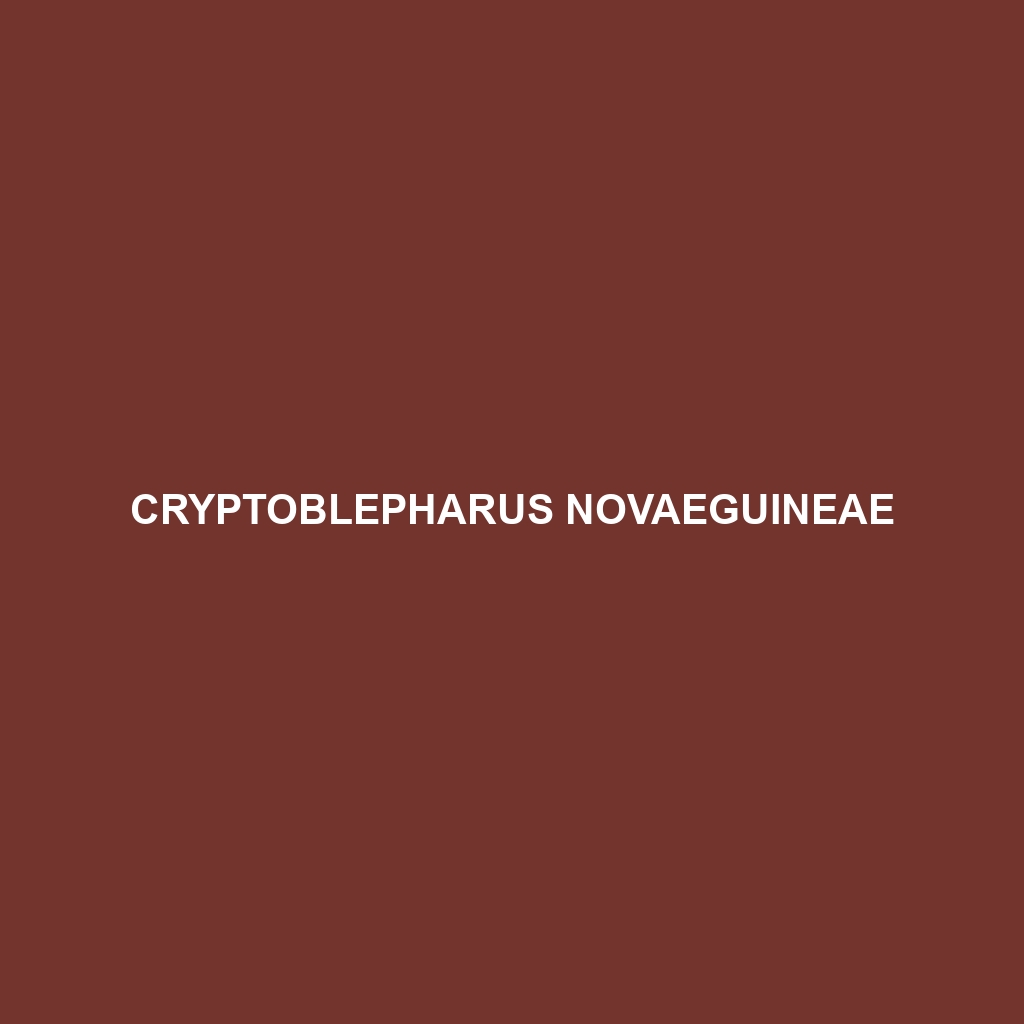 Cryptoblepharus novaeguineae