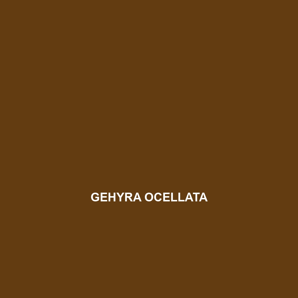 Gehyra ocellata