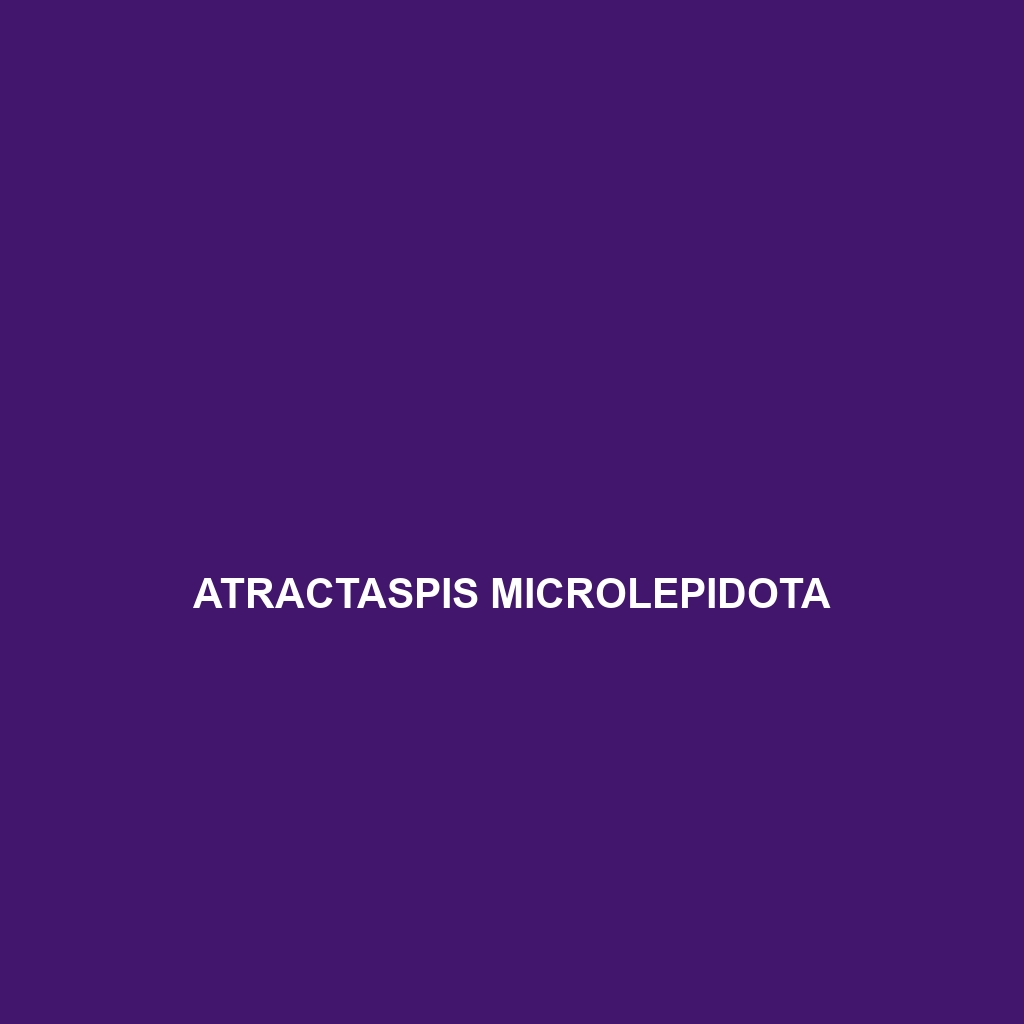 Atractaspis microlepidota