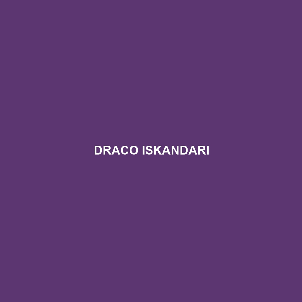 Draco iskandari