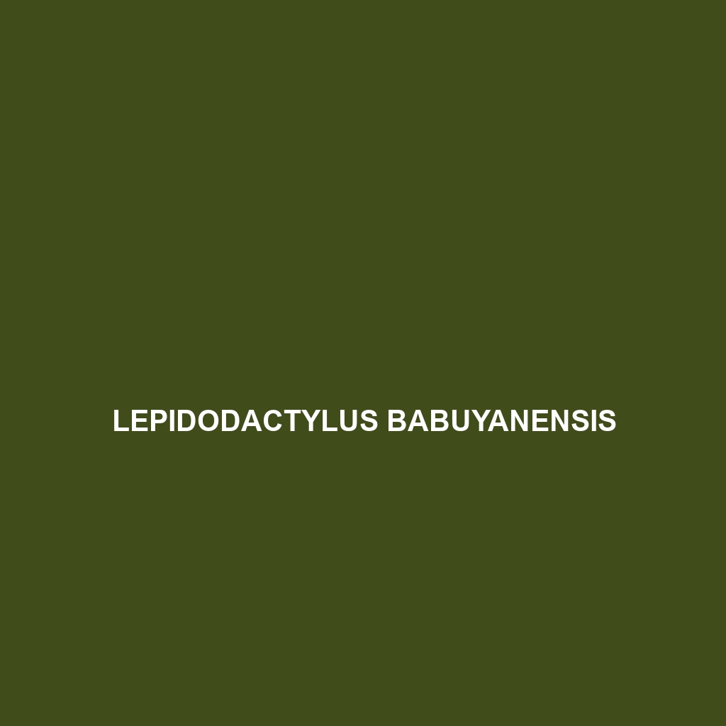 Lepidodactylus babuyanensis