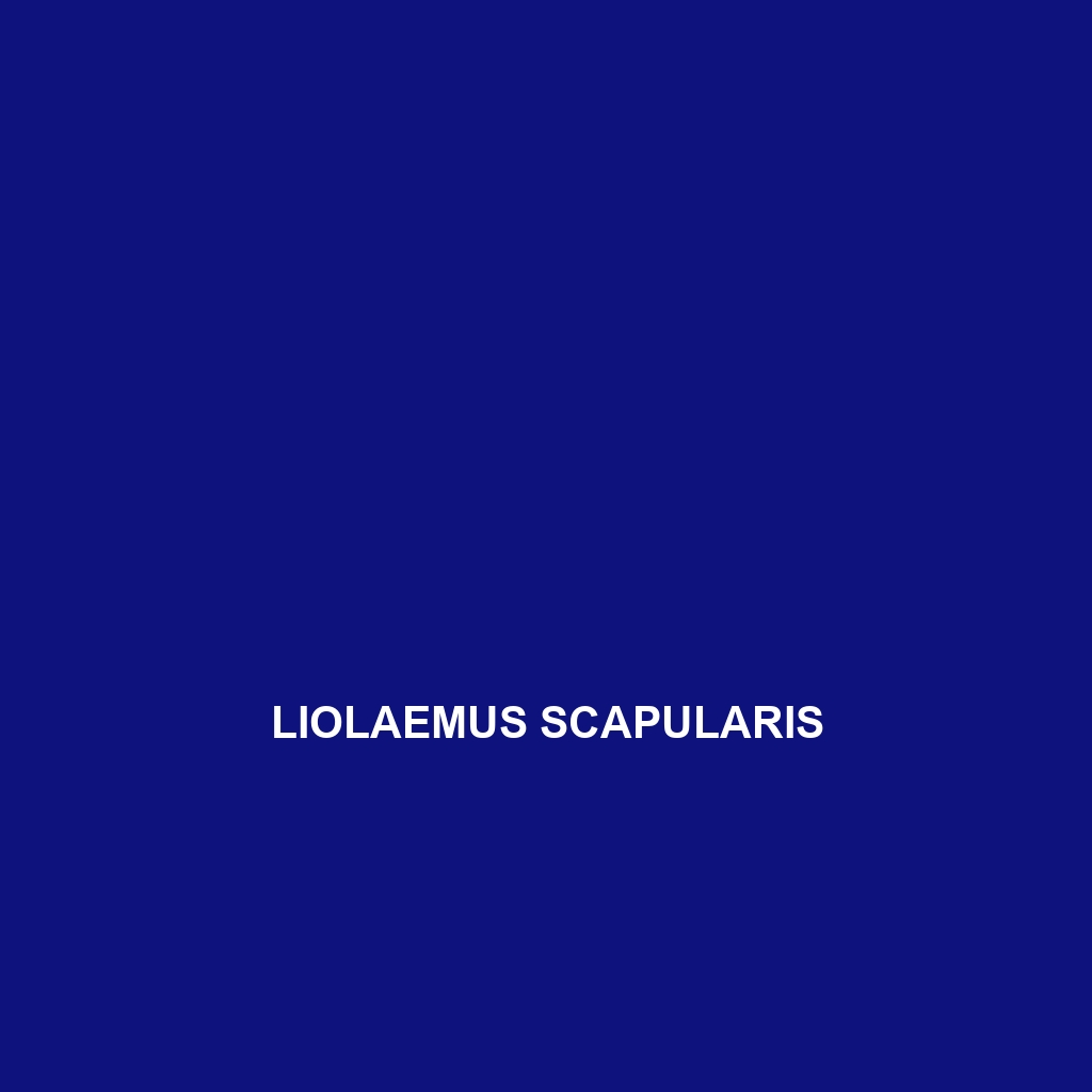 Liolaemus scapularis