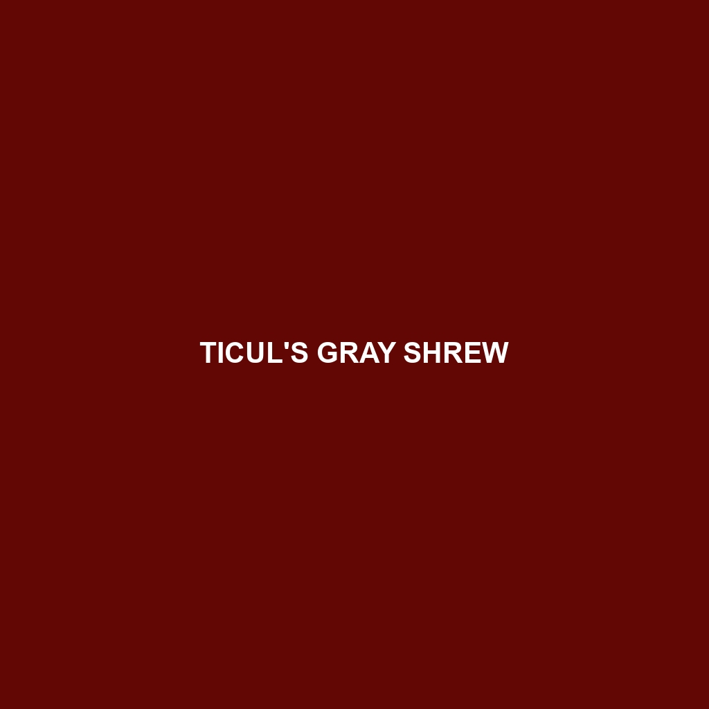 Ticul's Gray Shrew