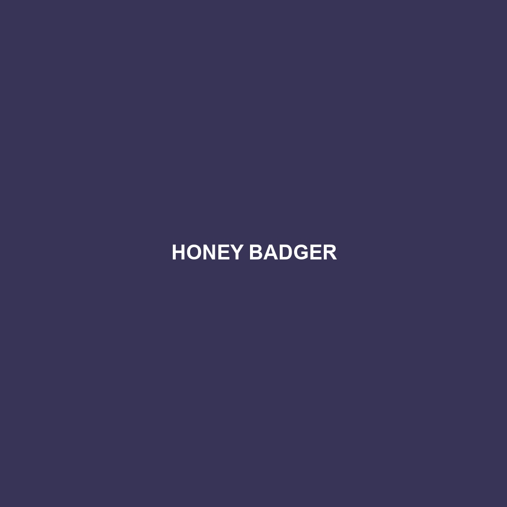 Honey Badger