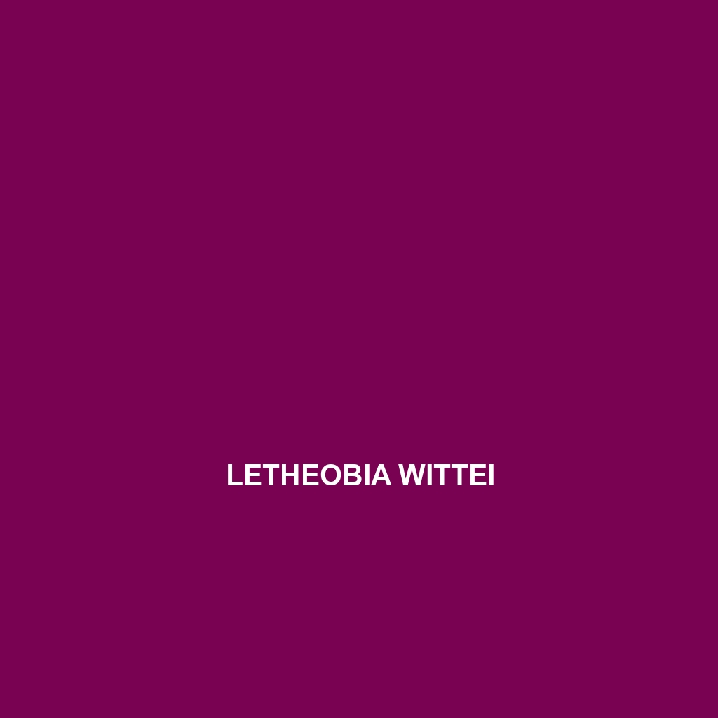 Letheobia wittei