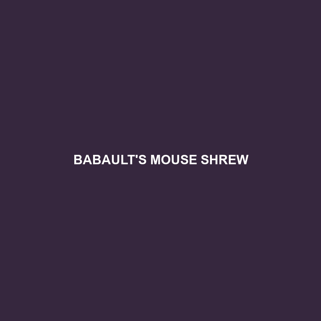 Babault's Mouse Shrew