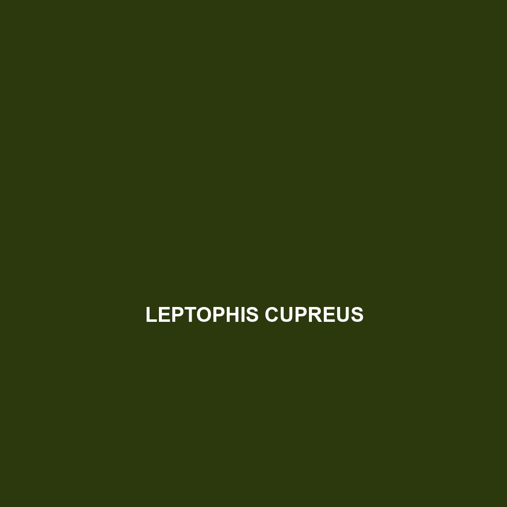 Leptophis cupreus