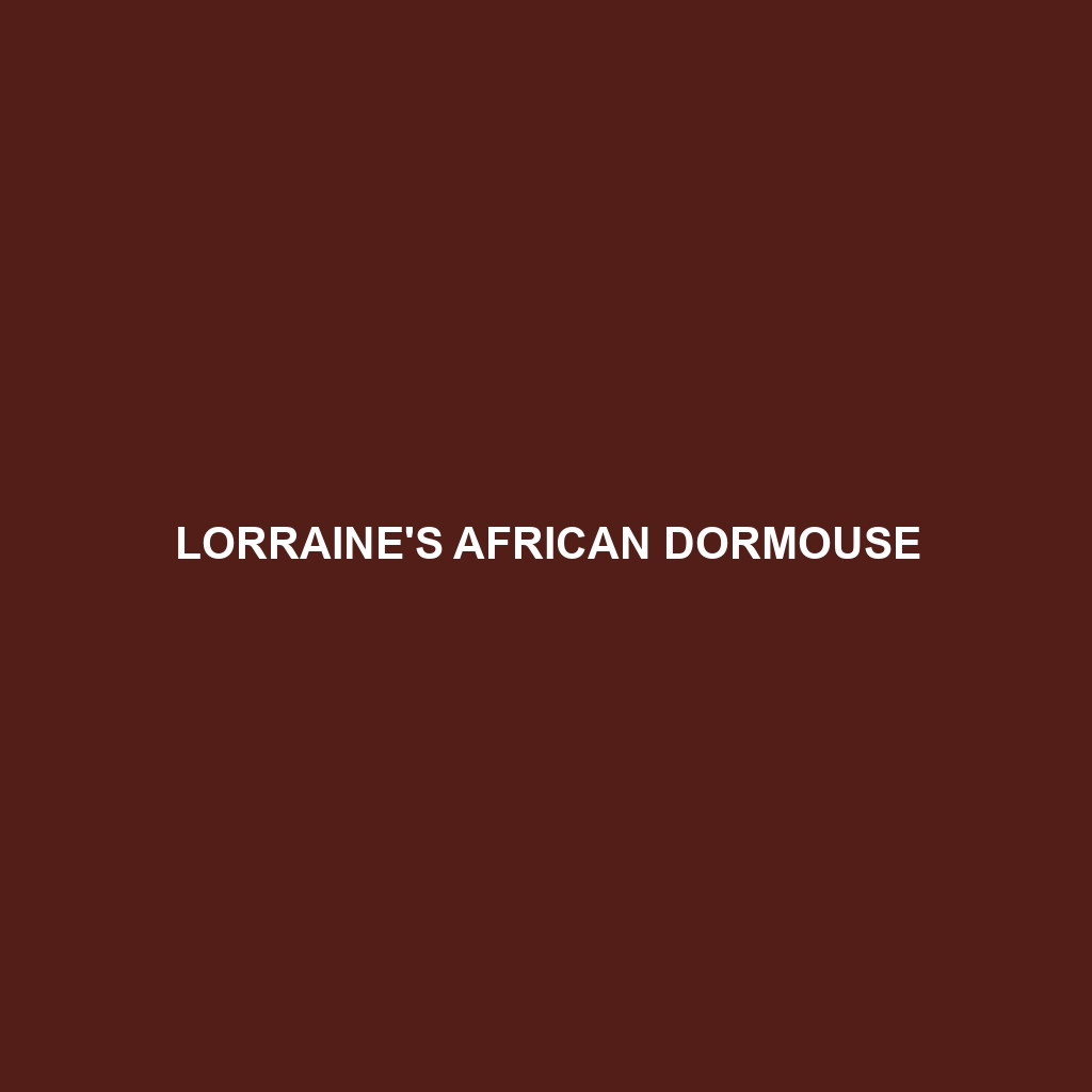 Lorraine's African Dormouse