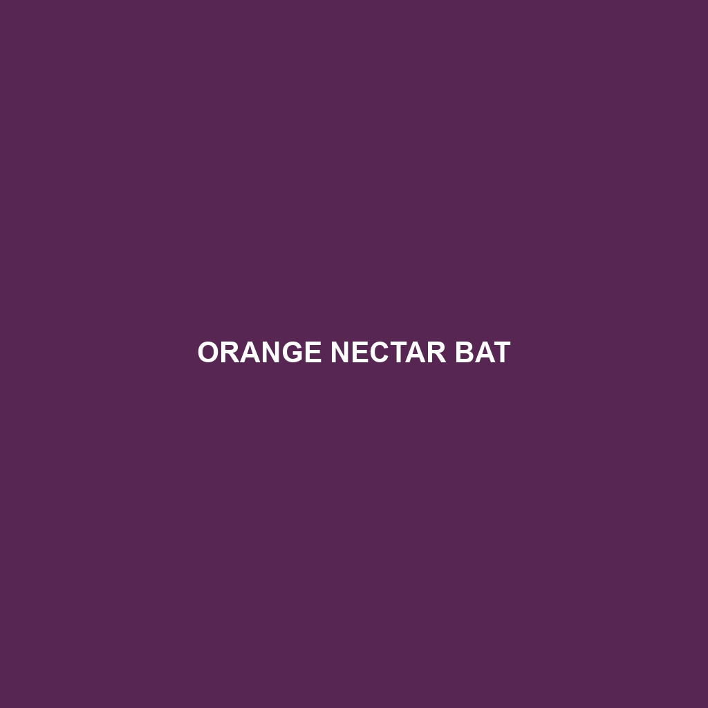 Orange Nectar Bat