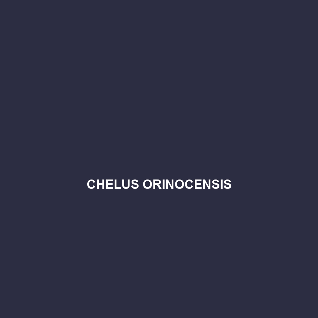 Chelus orinocensis