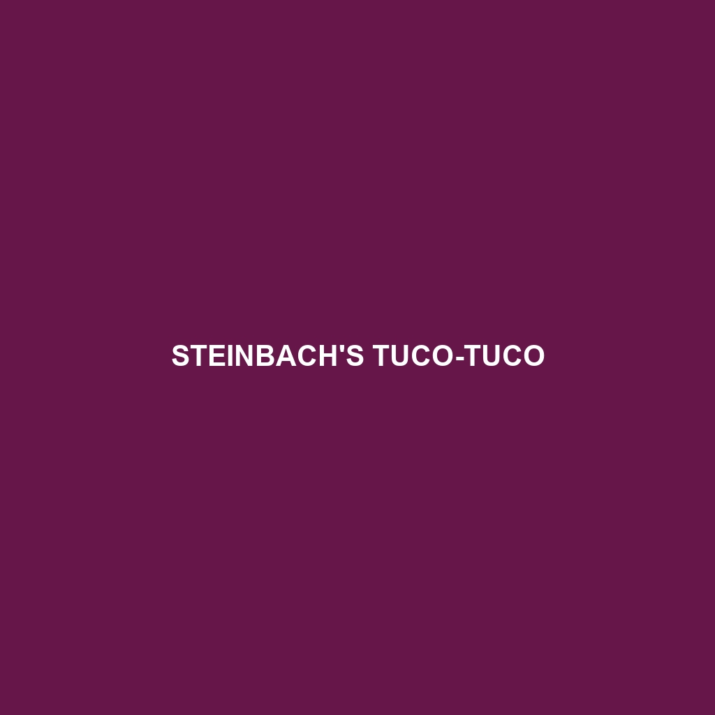 Steinbach's Tuco-tuco