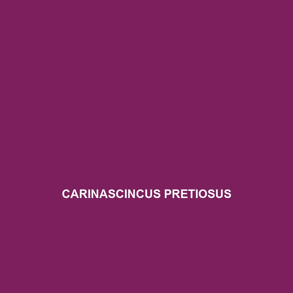 Carinascincus pretiosus