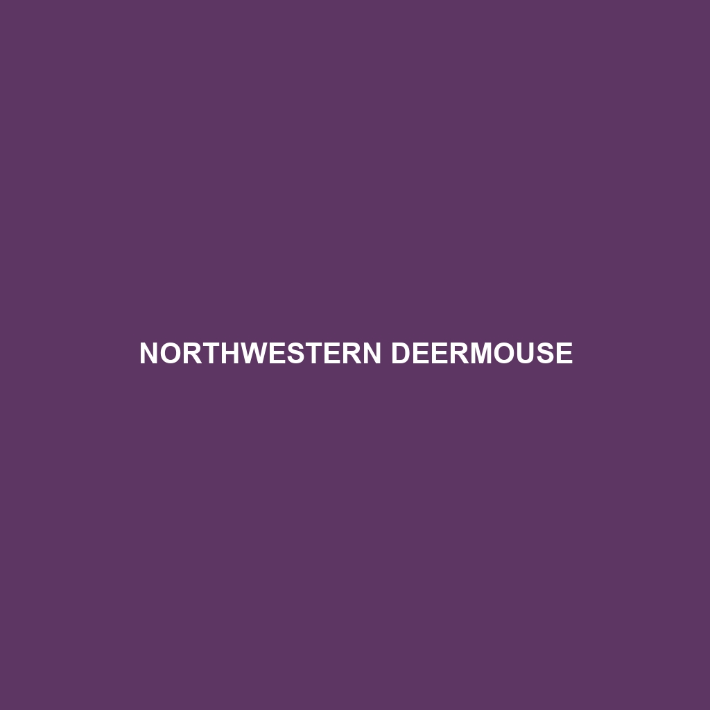 Northwestern Deermouse