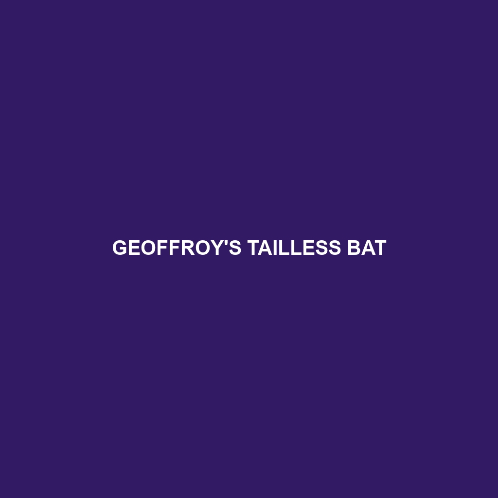 Geoffroy's Tailless Bat