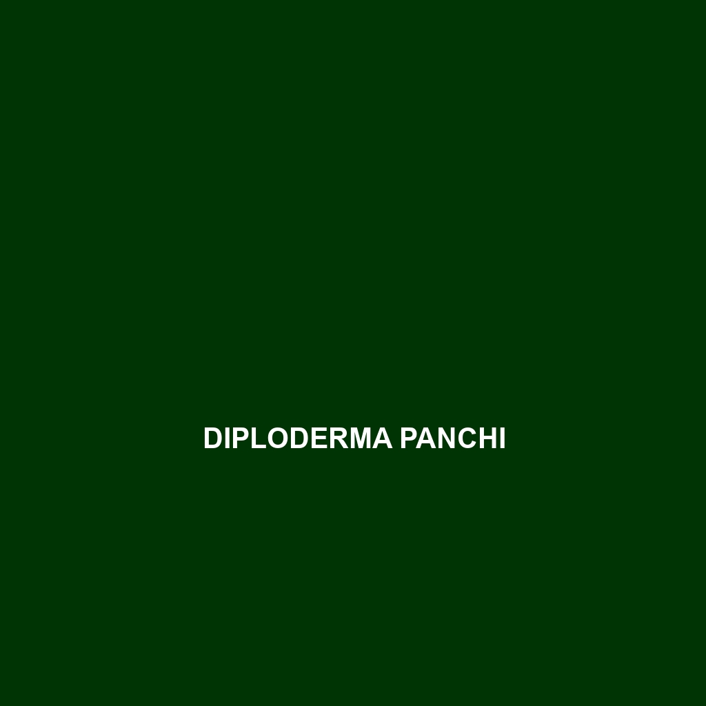 Diploderma panchi