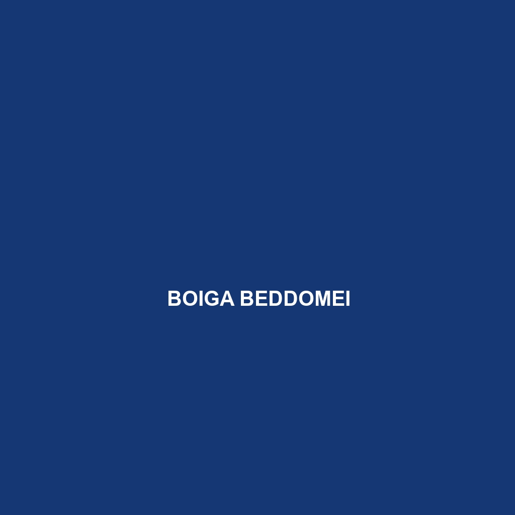 Boiga beddomei