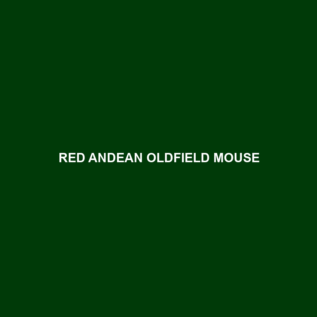 Red Andean Oldfield Mouse