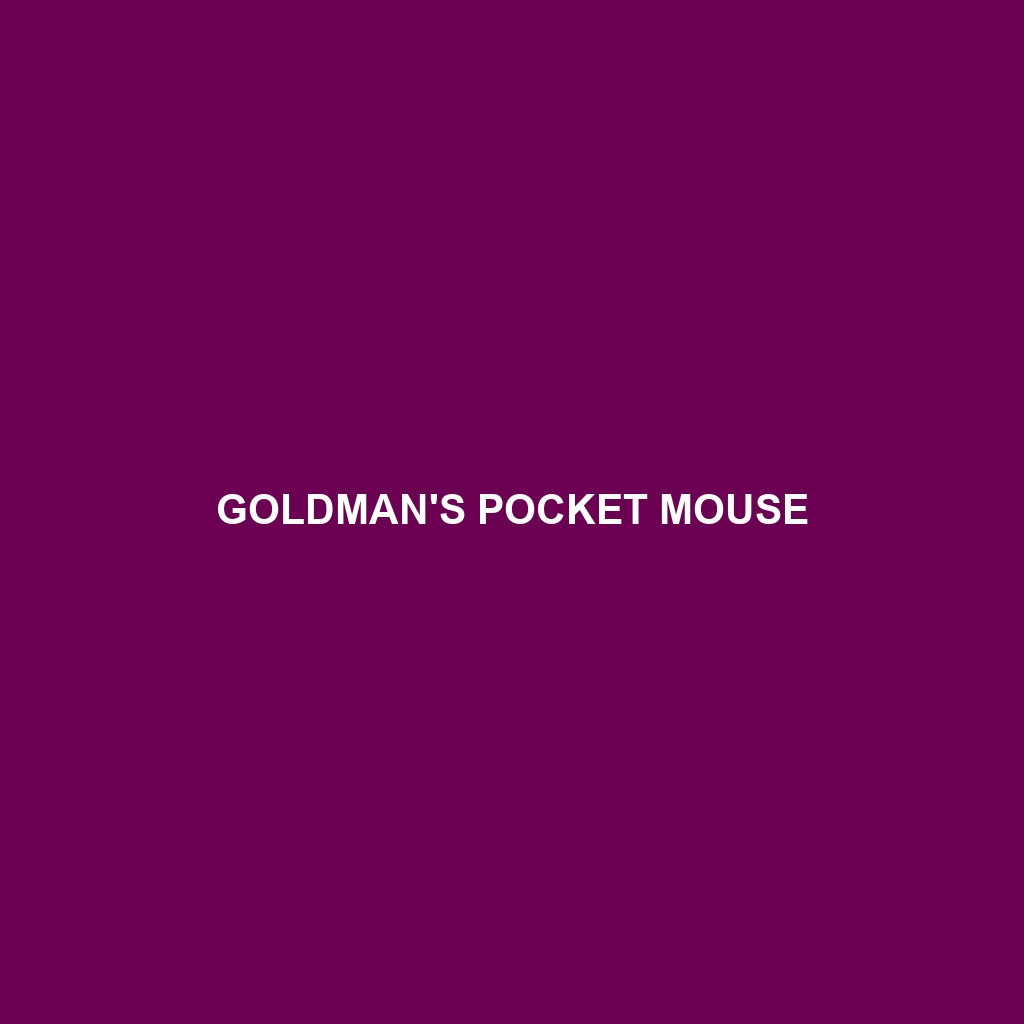 Goldman's Pocket Mouse