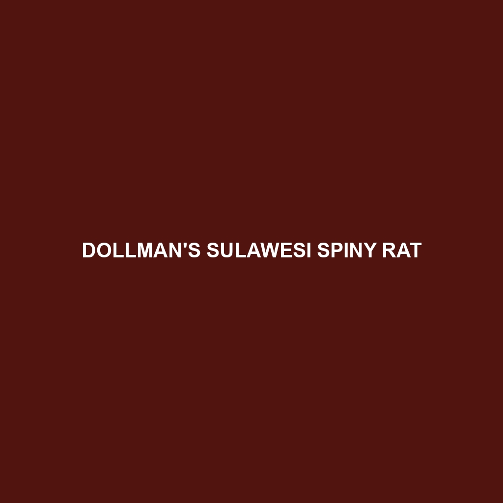 Dollman's Sulawesi Spiny Rat