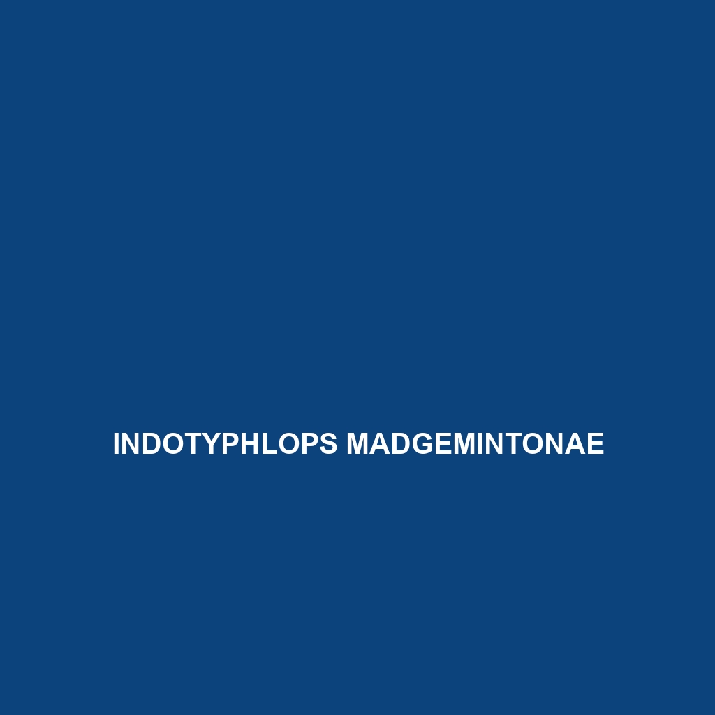 Indotyphlops madgemintonae