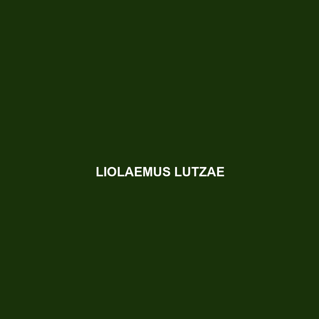 Liolaemus lutzae