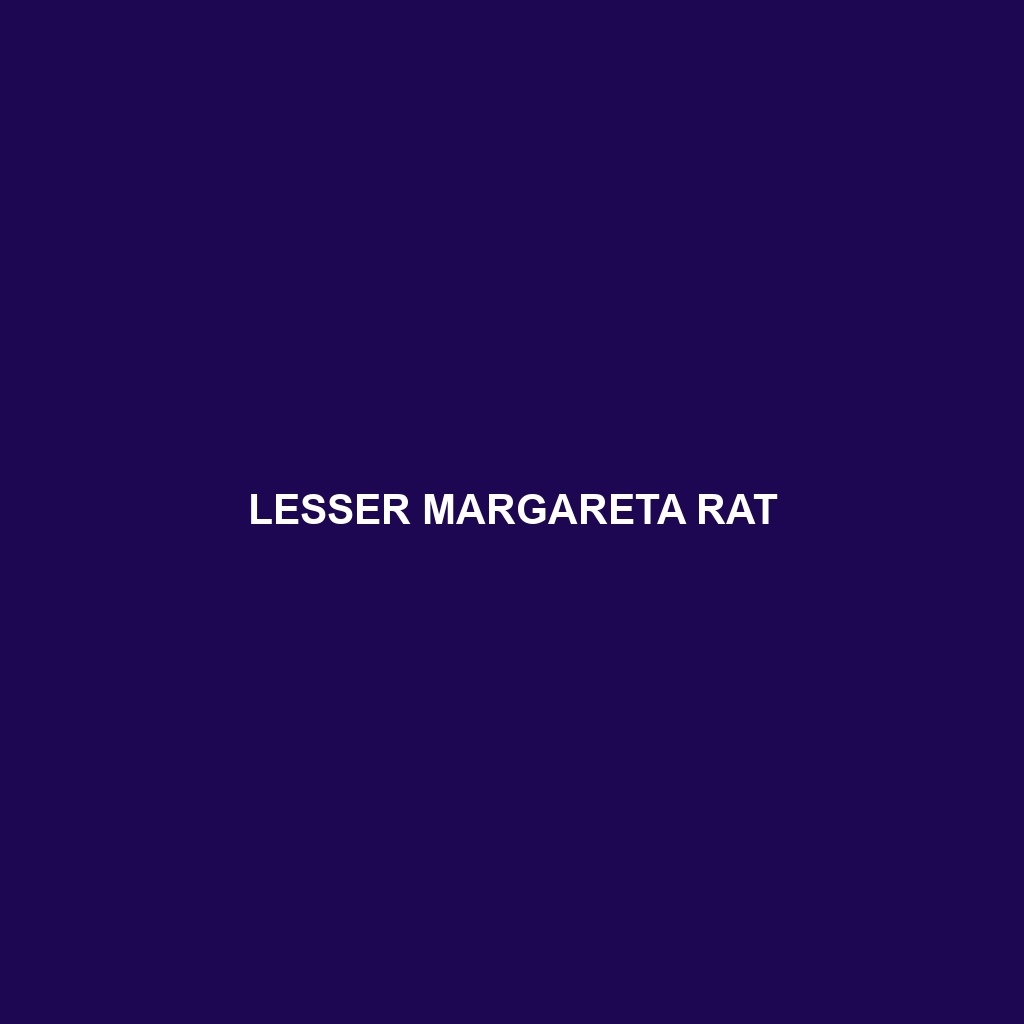 Lesser Margareta Rat