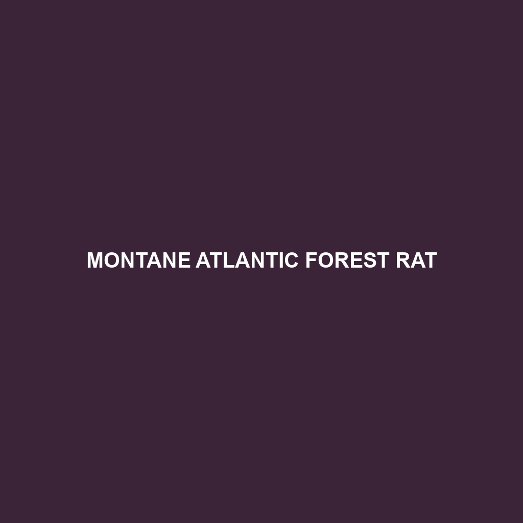 Montane Atlantic Forest Rat