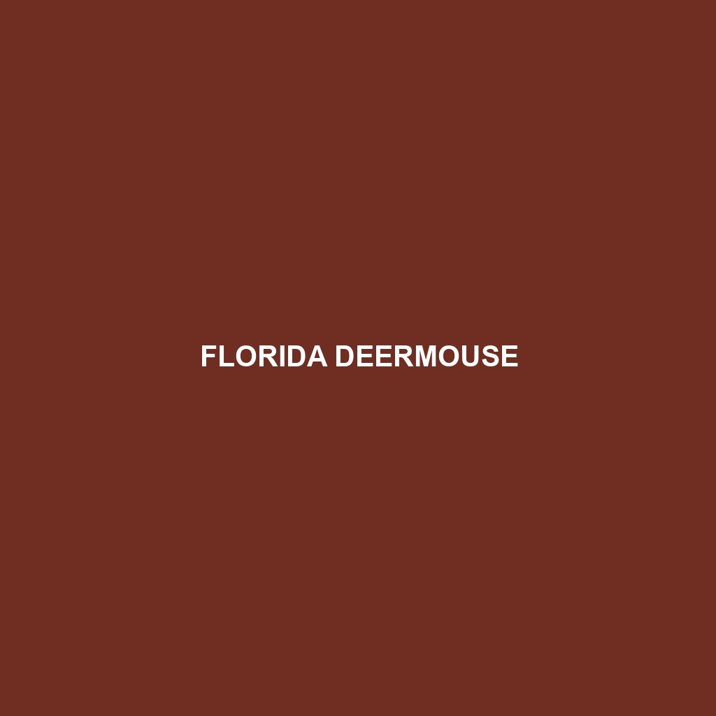 Florida Deermouse