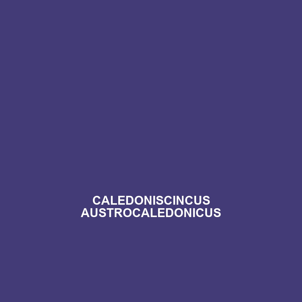 Caledoniscincus austrocaledonicus