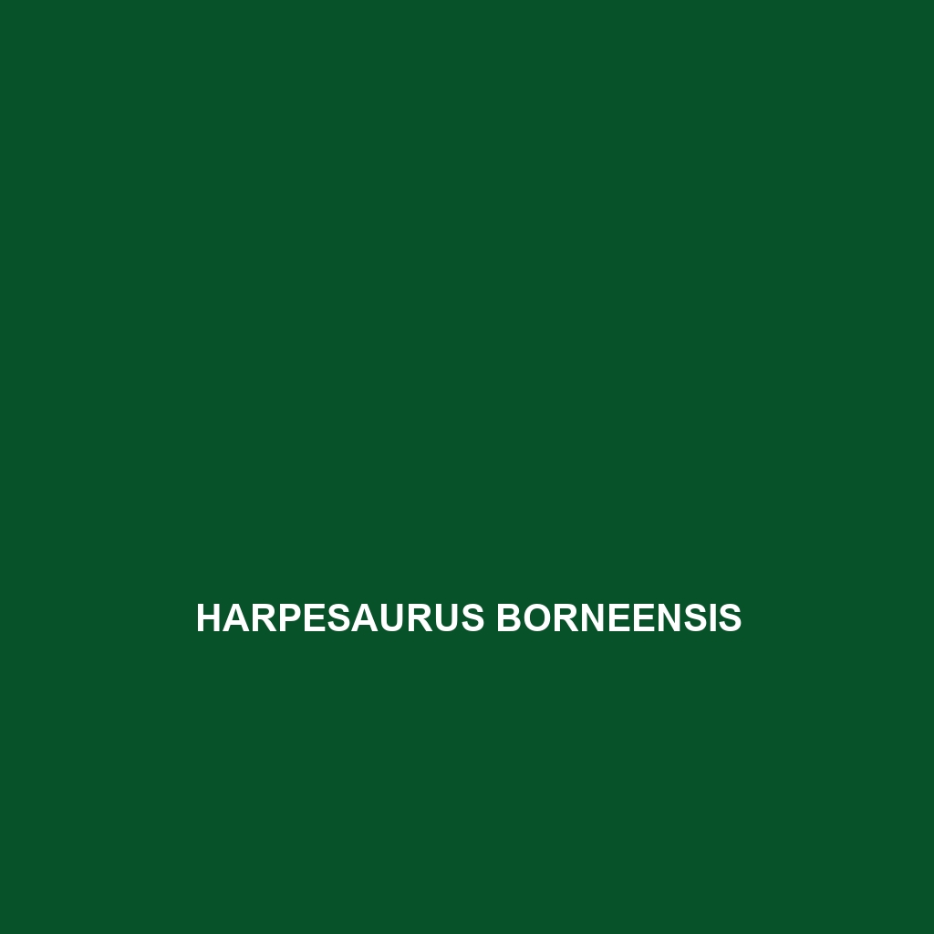 Harpesaurus beccarii