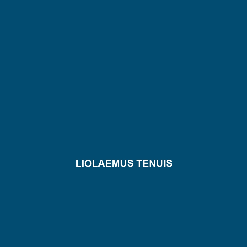 Liolaemus tenuis