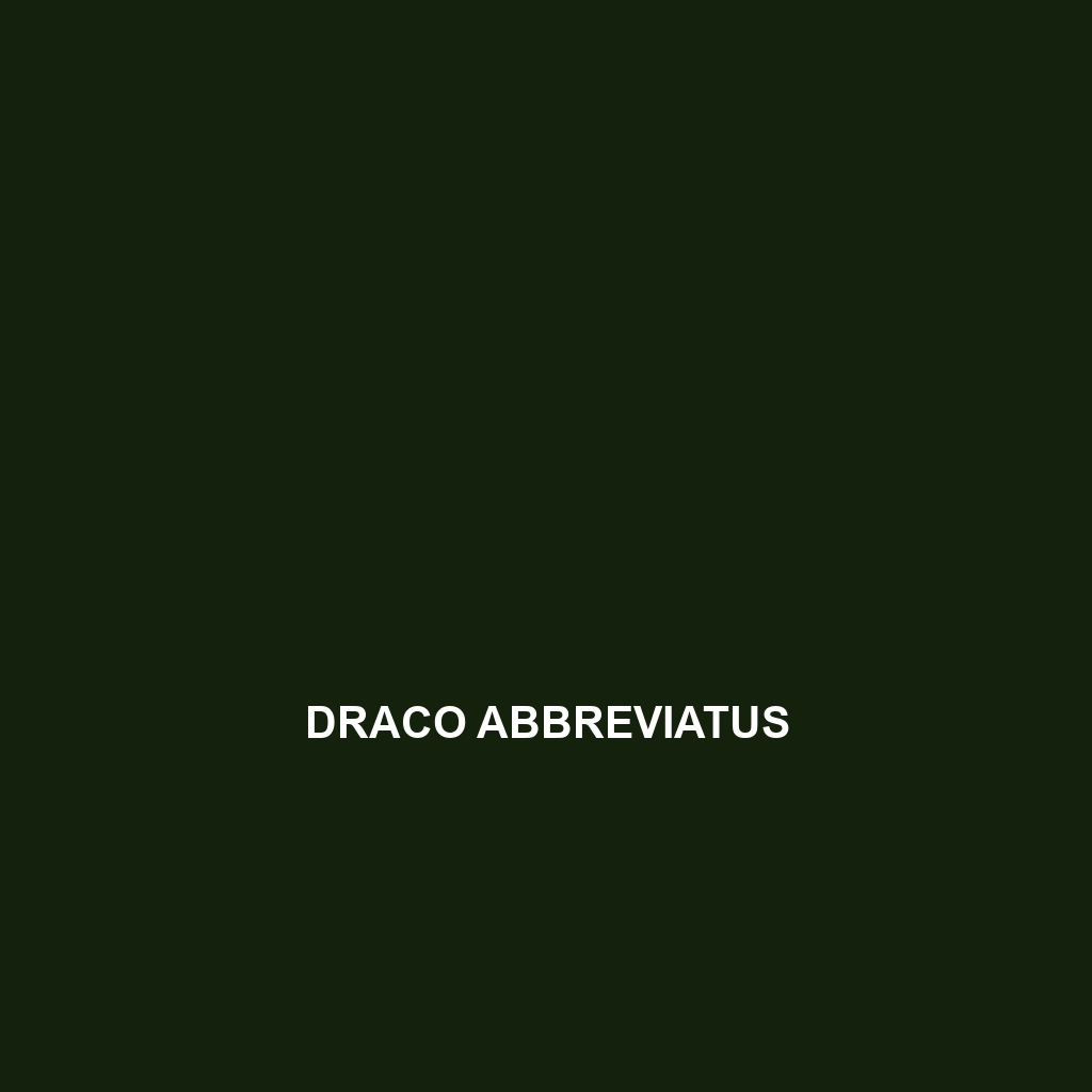 Draco abbreviatus