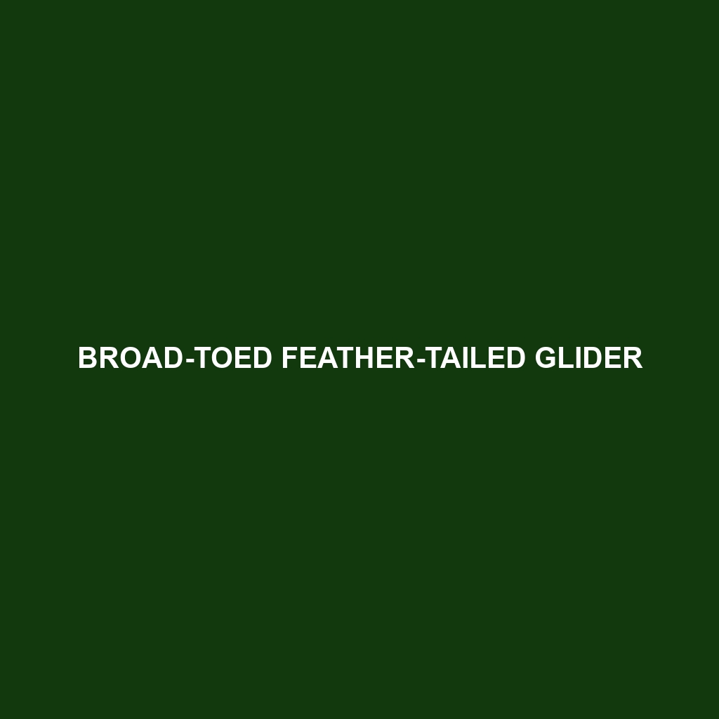 Broad-toed Feather-tailed Glider