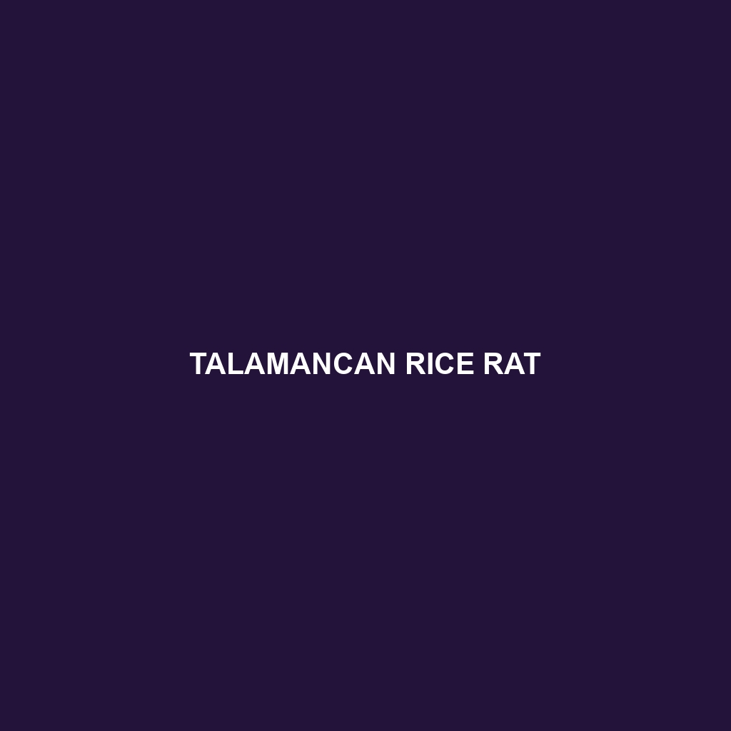 Talamancan Rice Rat