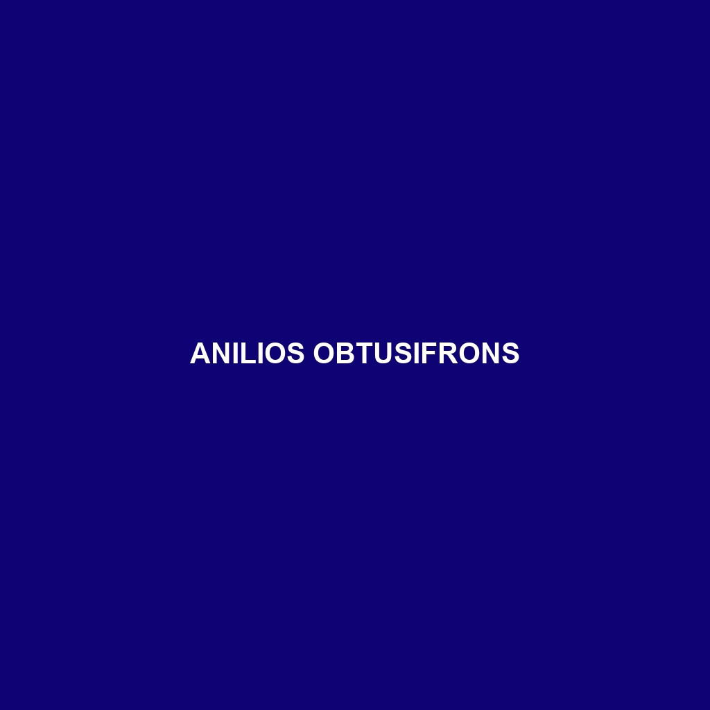 Anilios obtusifrons