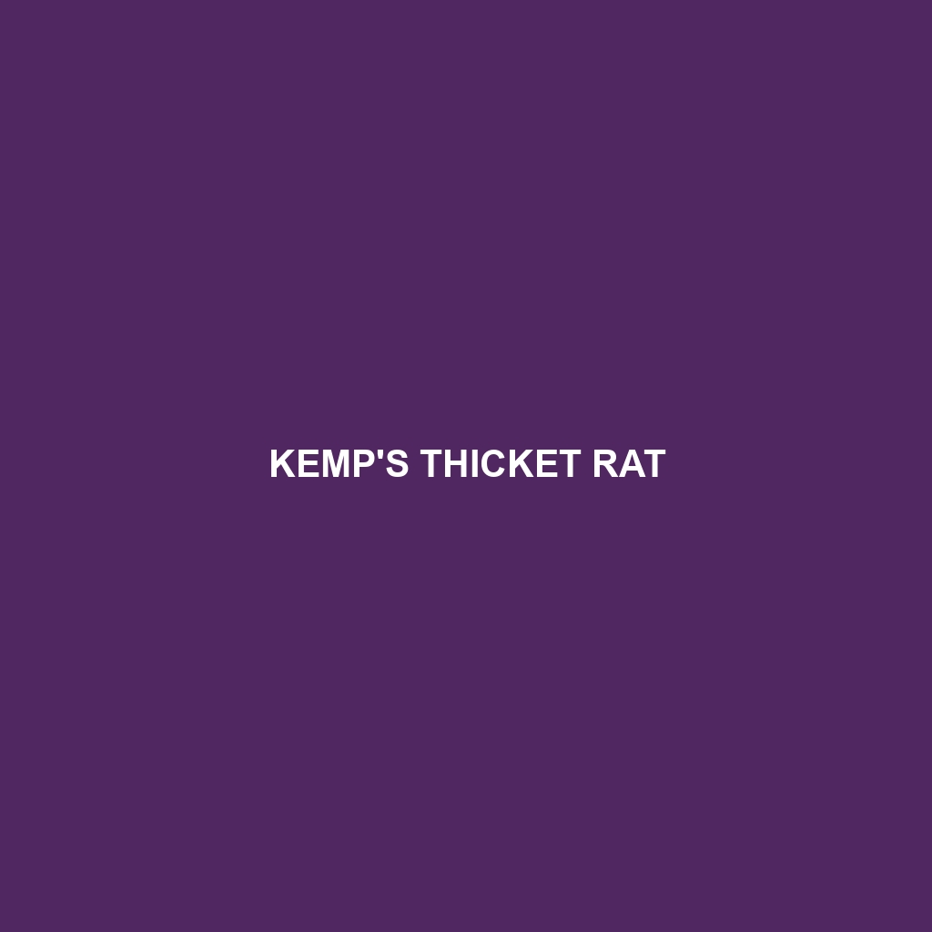 Kemp's Thicket Rat