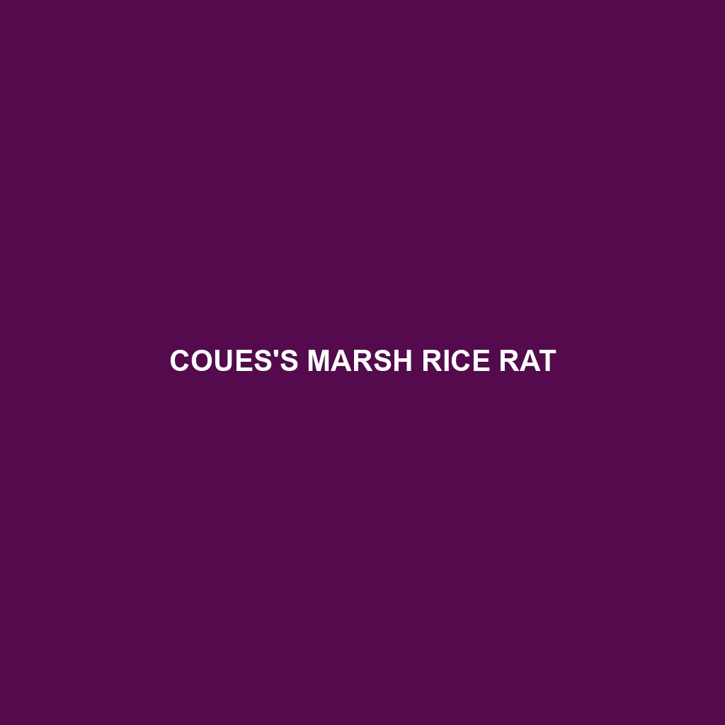 Coues's Marsh Rice Rat