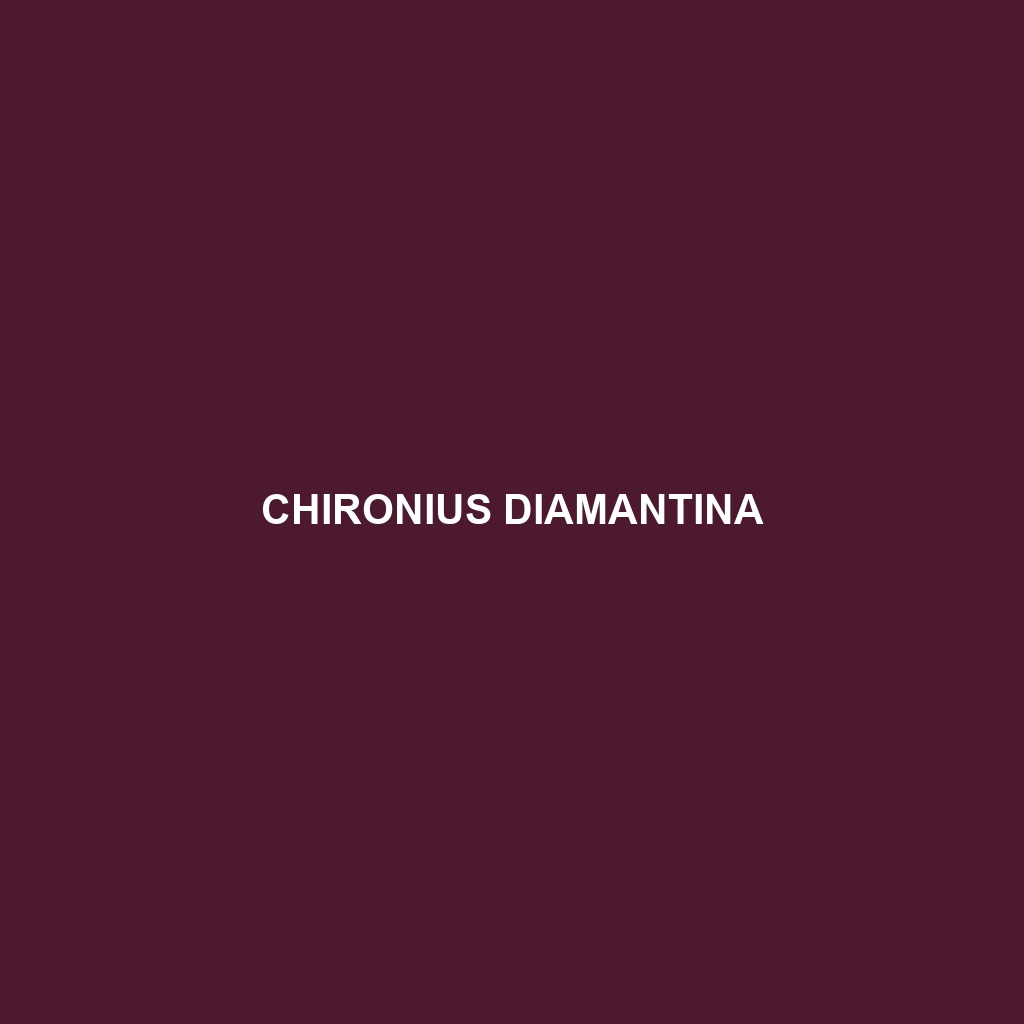 Chironius diamantina