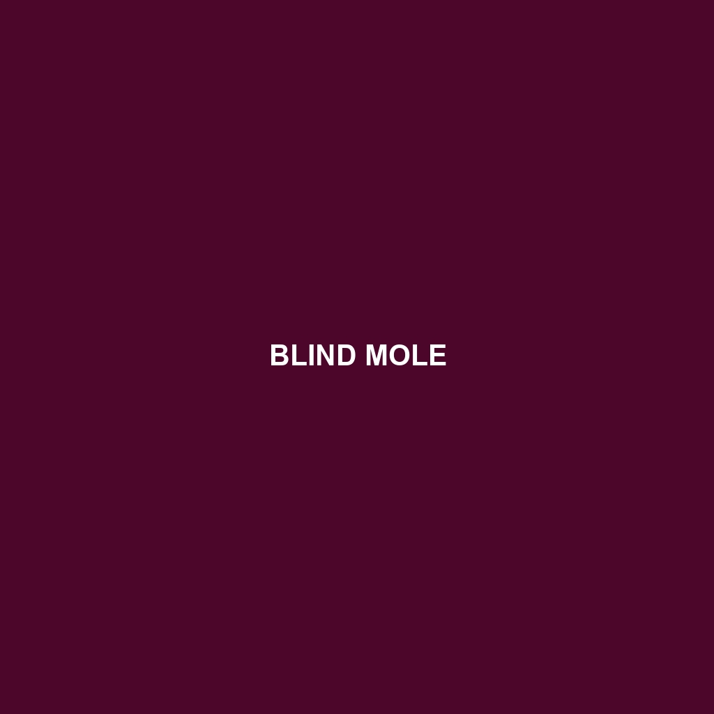 Blind Mole