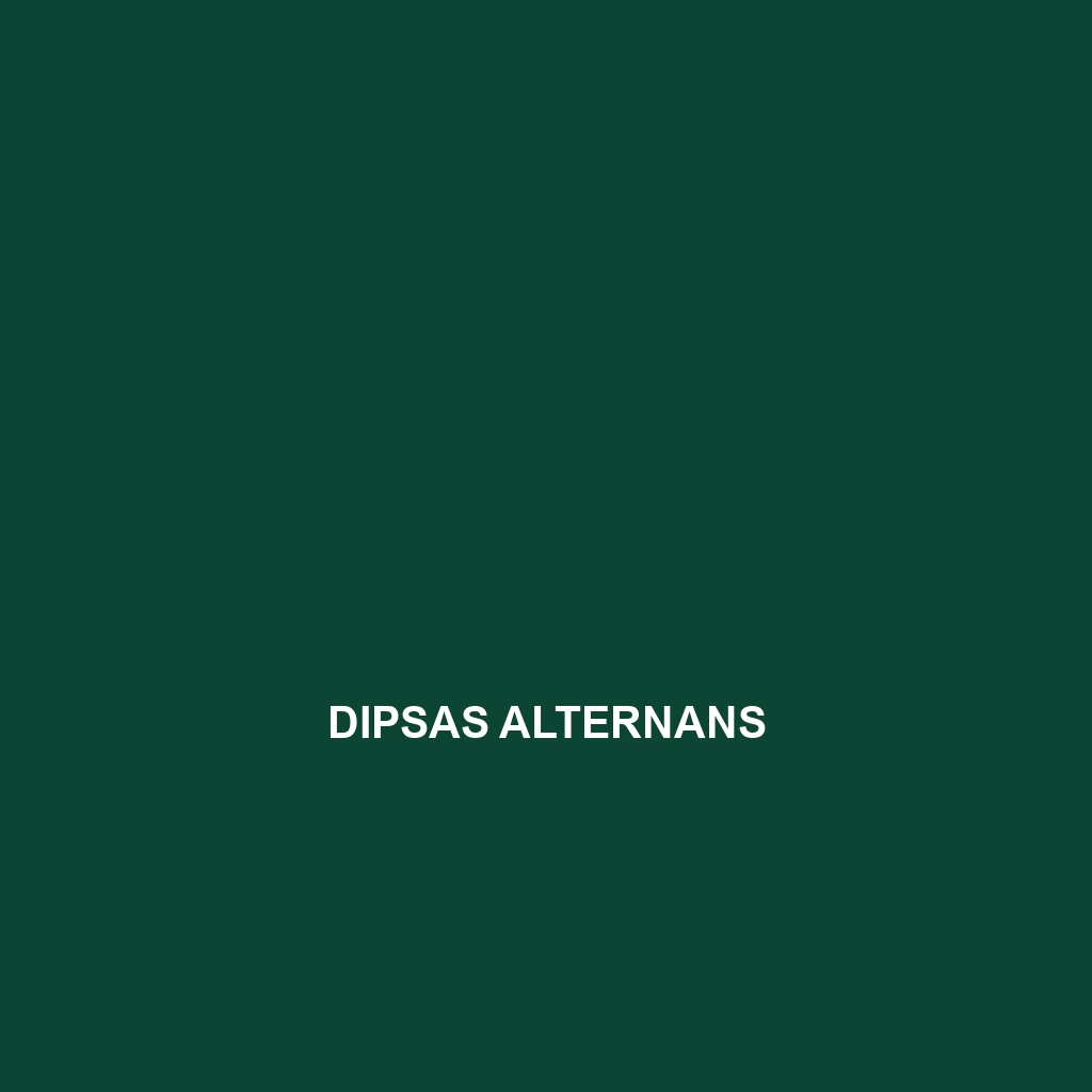 Dipsas alternans