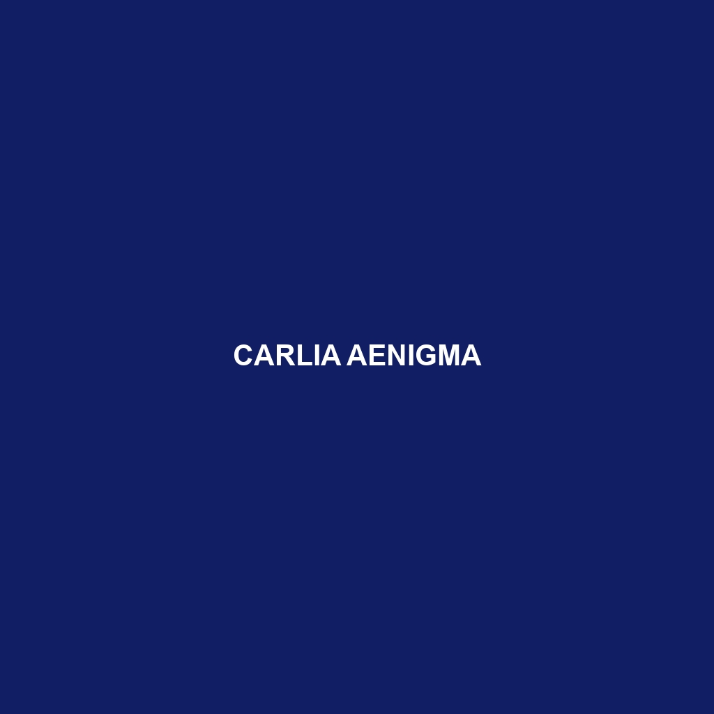 Carlia aenigma