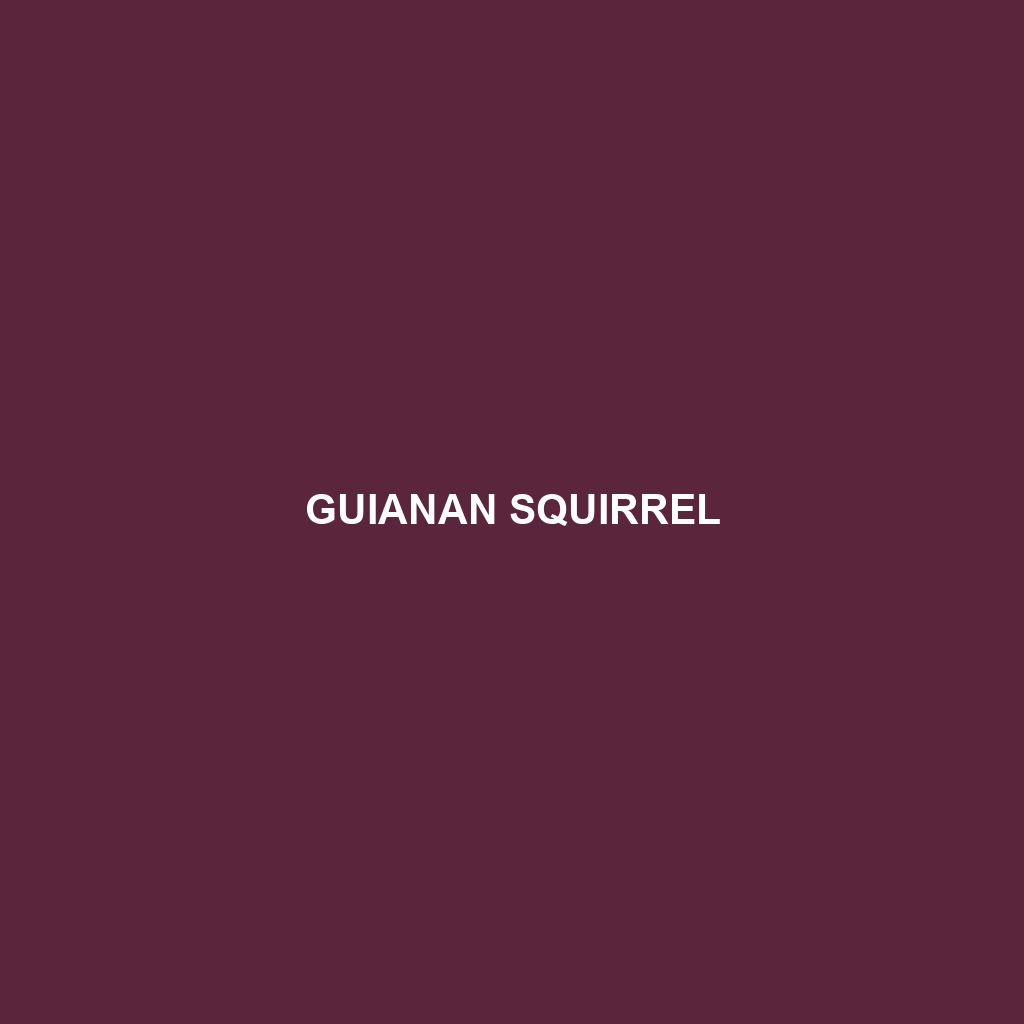 Guianan Squirrel