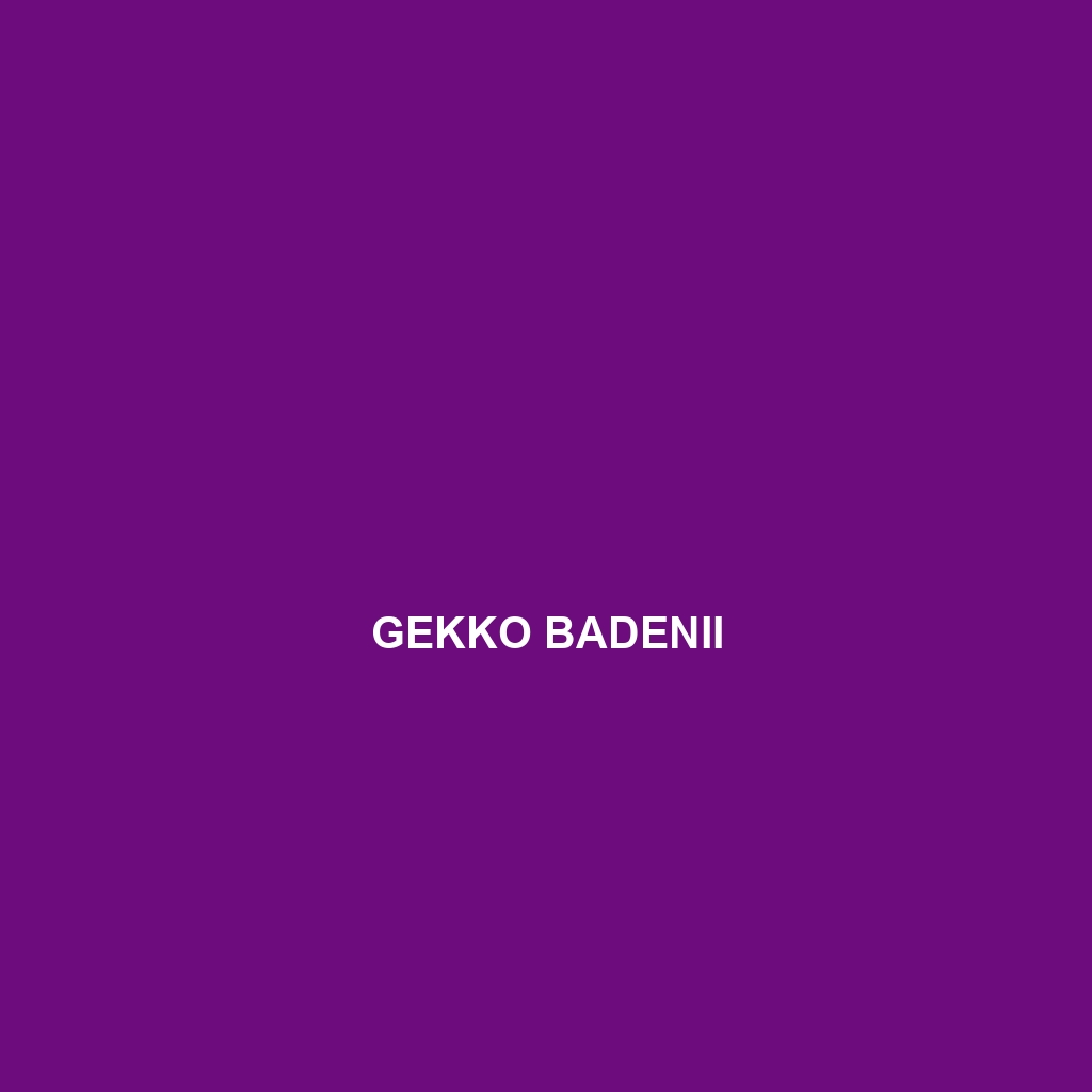 Gekko badenii