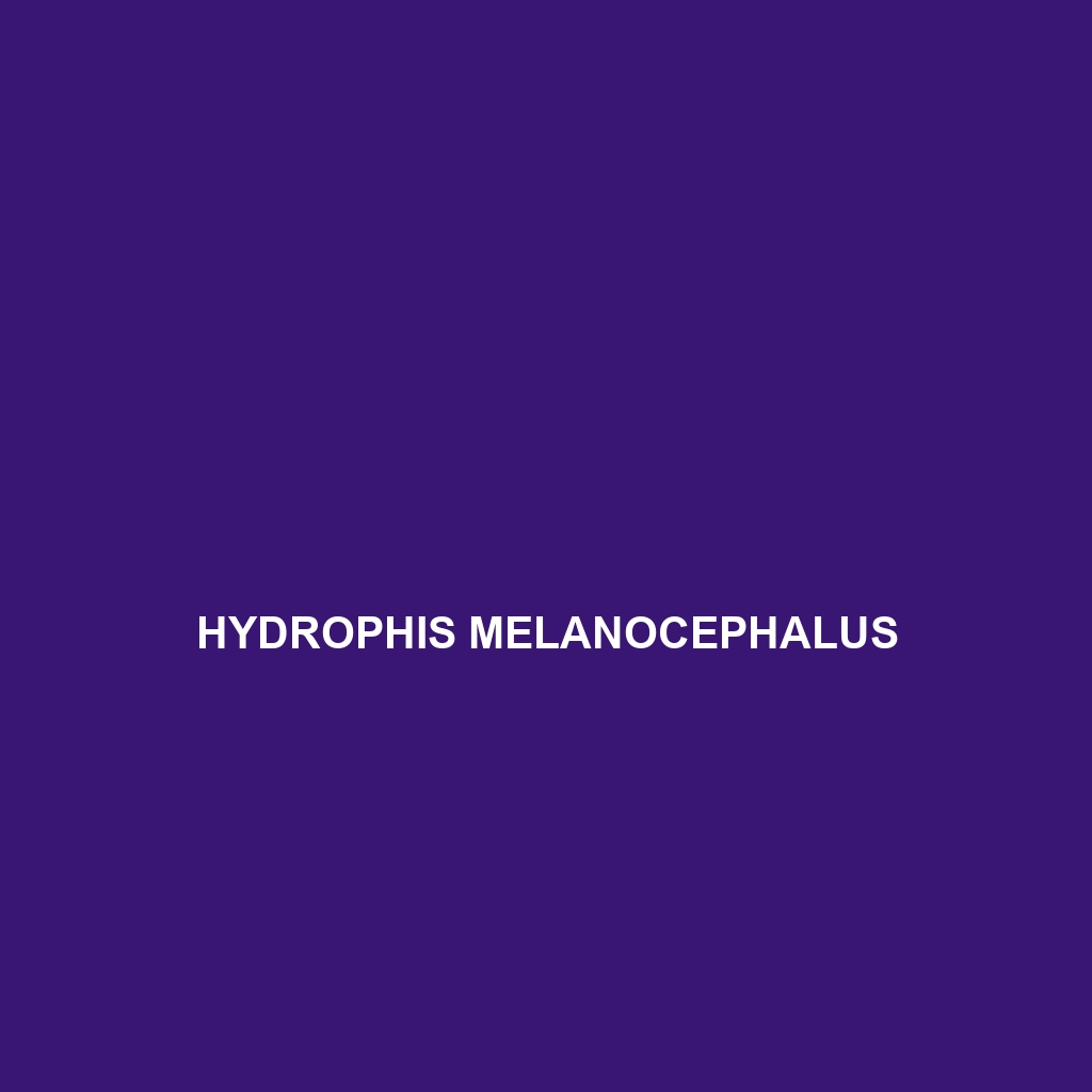 Hydrophis mamillaris