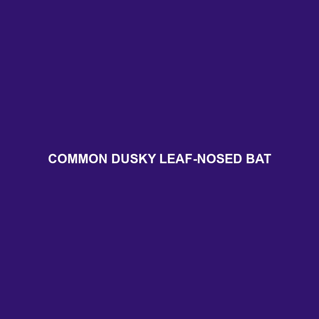 Common Dusky Leaf-nosed Bat